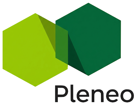 Pleneo IT Services GmbH
